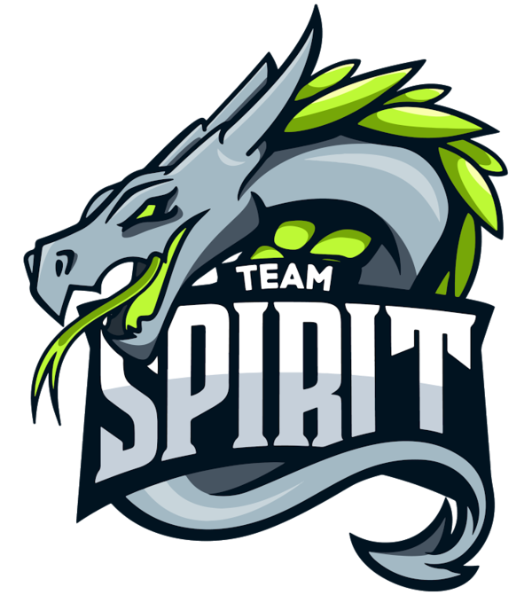 Team Spirit