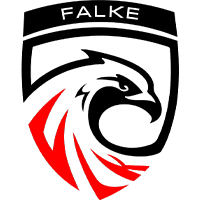 FALKE ESPORTS