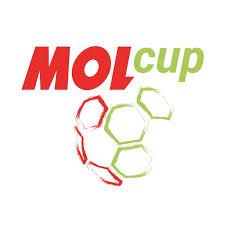 Czech Republic. Cup. Season 2018/2019