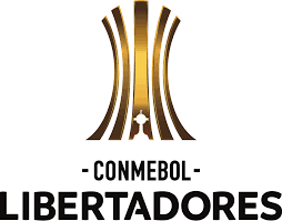 Copa Libertadores 2020. Qualification