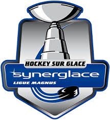 France. Ligue Magnus. Season 2020/2021