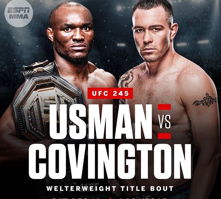 UFC 245