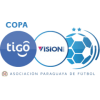 Paraguay. Primera Division. Season 2020