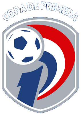 Paraguay. Primera Division. Season 2020