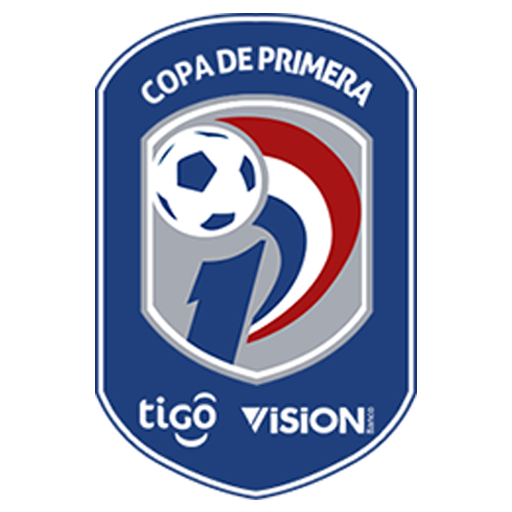 Paraguay. Division Profesional. Season 2019