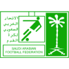 Saudi Arabia. Division 1. Season 2023/2024