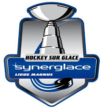 France. Ligue Magnus. Season 2019/2020