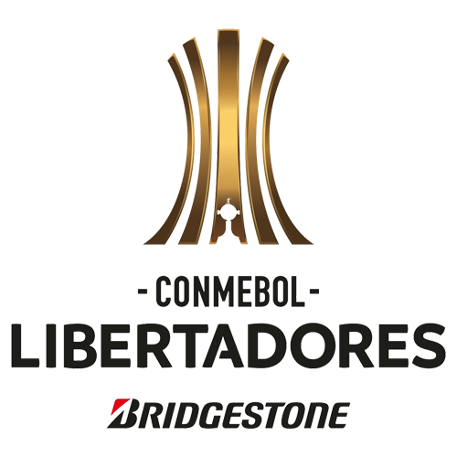 Copa Libertadores. Season 2019. Playoffs