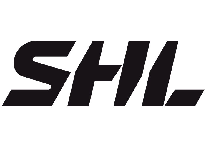 Sweden. SHL. Season 2018/2019. Play Offs