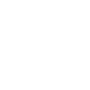 Team Fluxo W7M logo