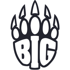 Team BIG logo