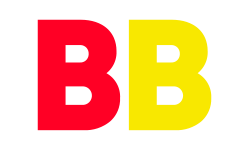 Team BETBOOM TEAM logo