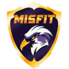 Team Team Misfit logo