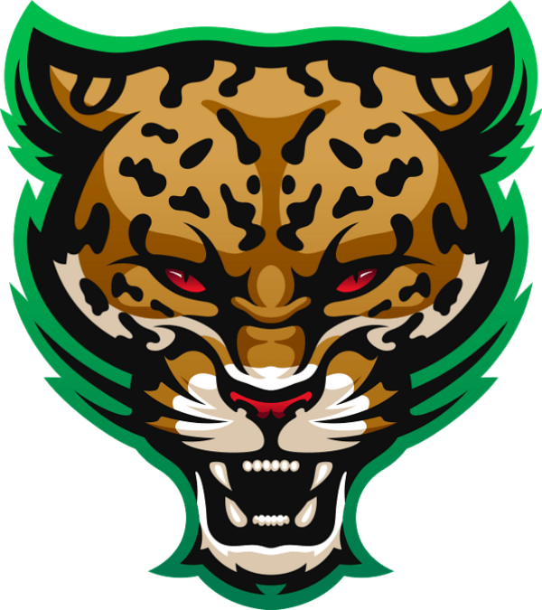 Team RUSH Gaming logo