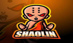 Team SHAOLIN logo