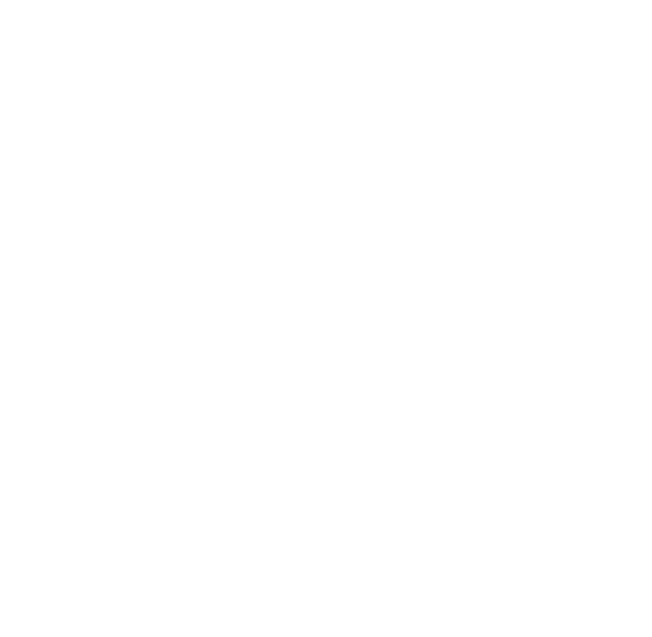 Team Spirit Academy