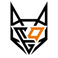 Team Orange Gaming