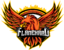 Team Flame Hard logo