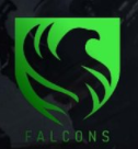 Team Falcons Esports logo
