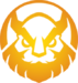 MGN Vikings Academy