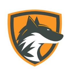 Team Team DeftFox logo