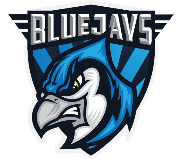 Team BLUEJAYS logo
