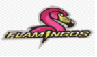 Team Team Flamingos logo