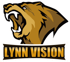 Lynn Vision logo
