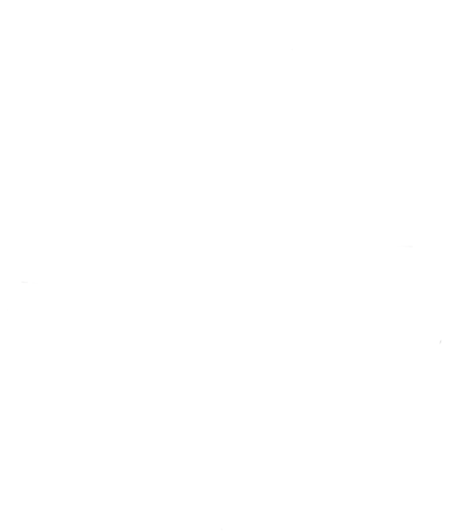 Partizan Esports