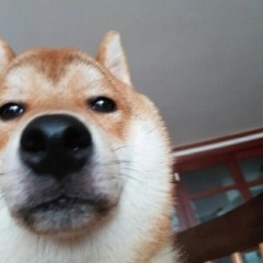 Team team_j3kie logo