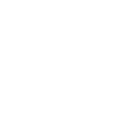 Team Young Ninjas logo