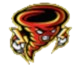 Team Stormriders logo
