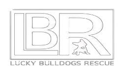Team Lucky Bulldogs logo