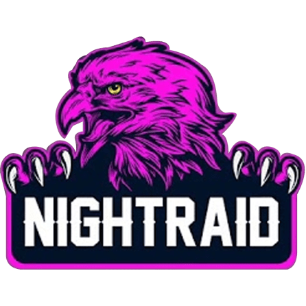 Team NightRaid logo