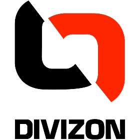 Team DIVIZON logo