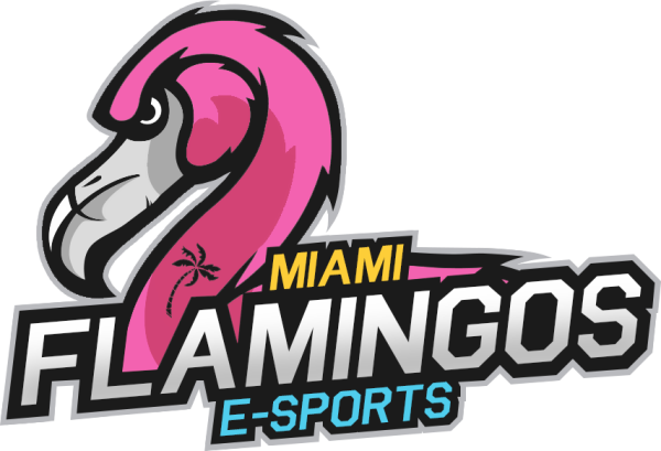 Team Miami Flamingos logo