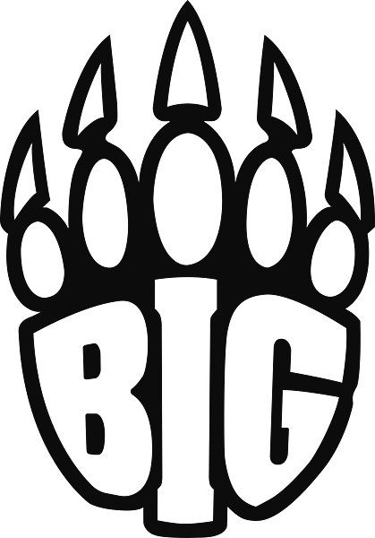 Team BIG Academy logo