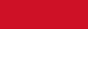 Team Indonesia logo