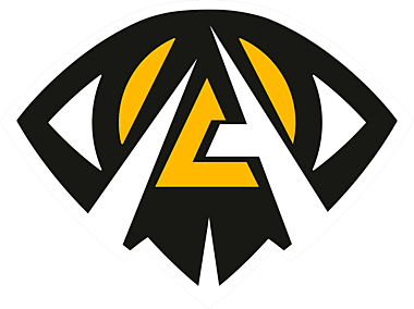 Team Anonymo Esports logo