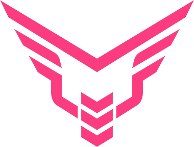 Team Take Flyte logo