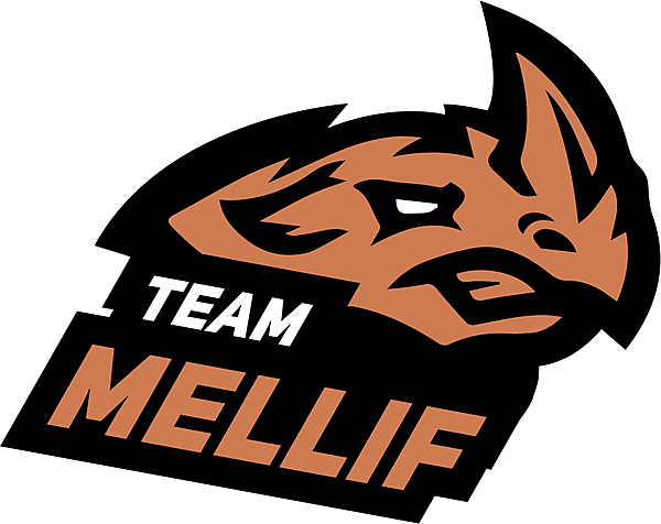 Team Team Mellif logo