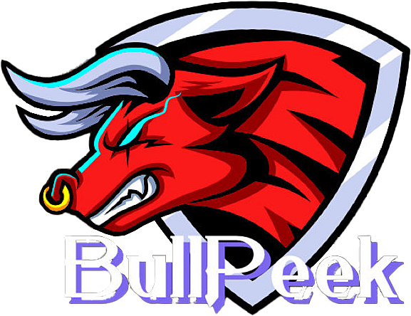 Team bullpeek logo
