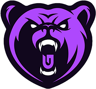 Glitchtech Esports