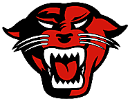 Team Davenport University logo