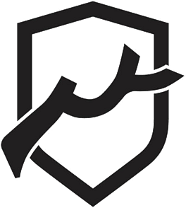 Team Iron Branch logo