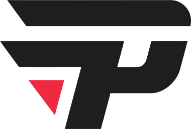 Team paiN Academy logo