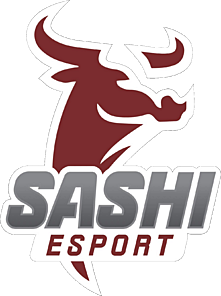Team Sashi Academy logo