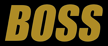 Team BOSS logo
