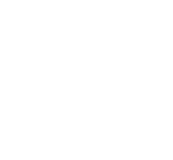 SL 2025 Summer Playoffs